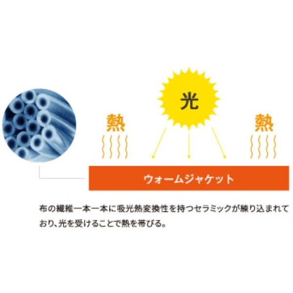 ナオリー スクイッシュ